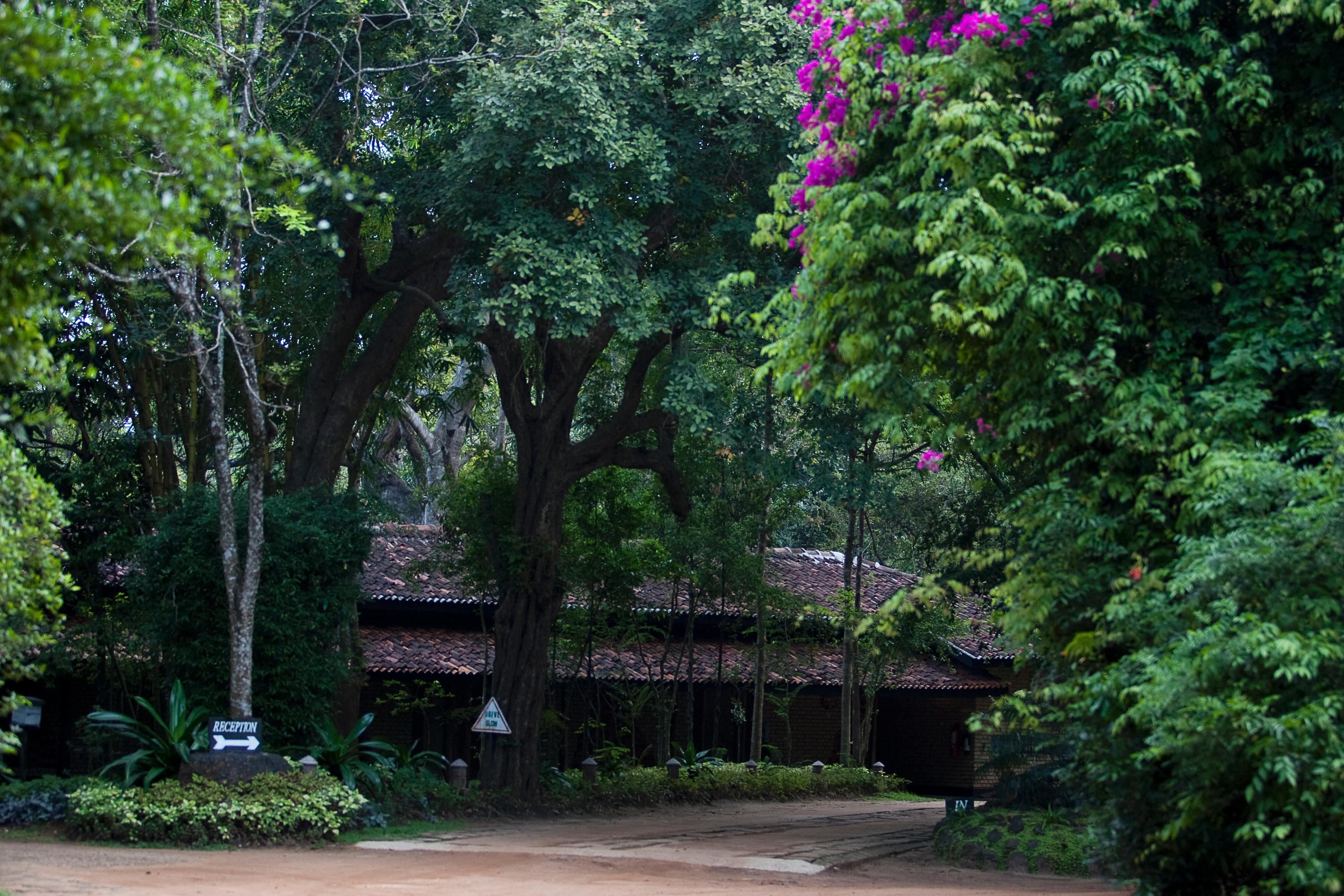 Hotel Sigiriya Exterior foto